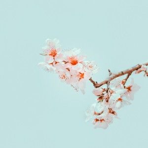 Meet your Poshers Chris and Seloma